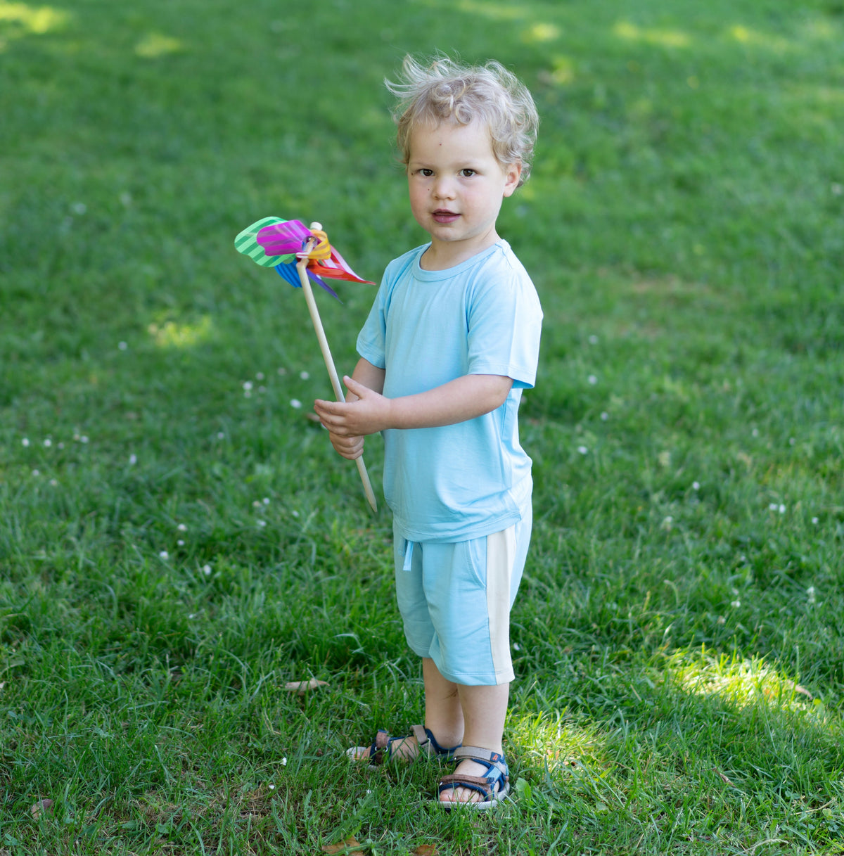 bamboo terry shorts bluebonnet