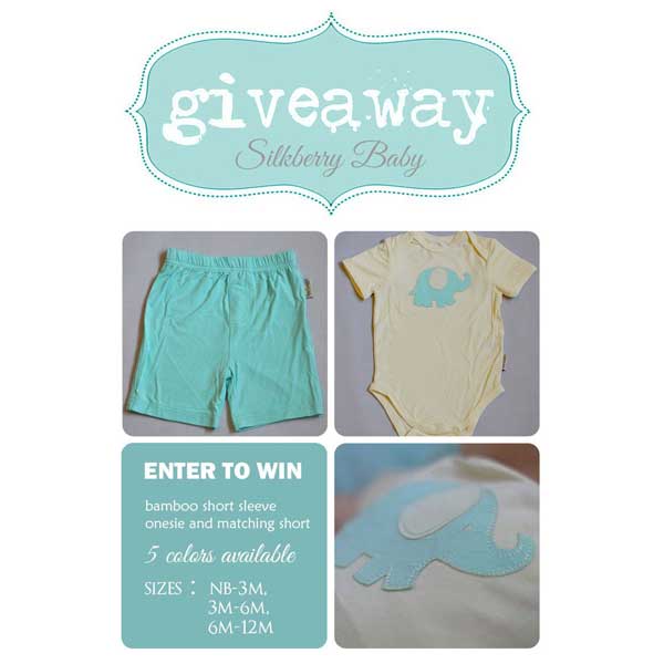 Silkberry Baby April Giveaway