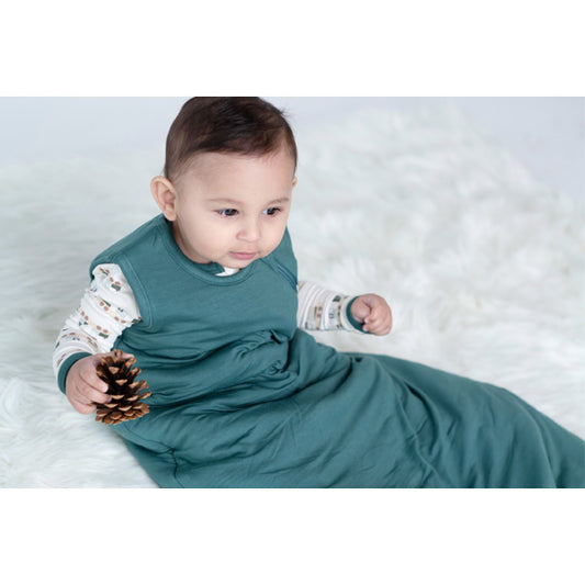 Infant Sleep Tips