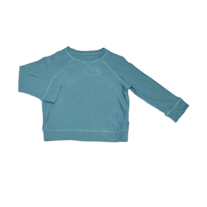 sweatshirt blue forest color