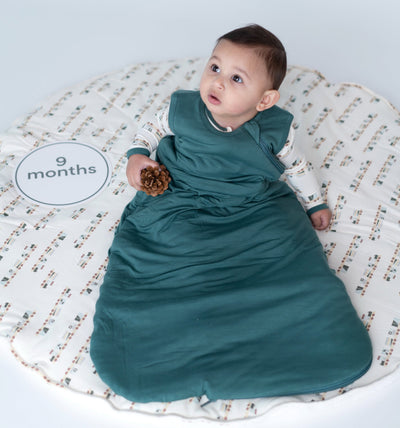 Sleep sack for 9 month old deals